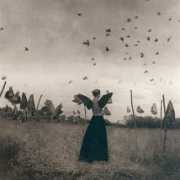 Kusterle