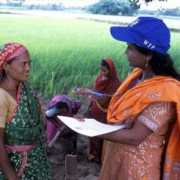 wfp.org Kustia