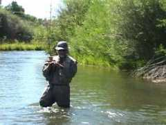 beaverheadrods.com Kustich
