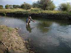 beaverheadrods.com Kustich