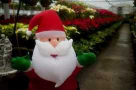 ourmidland.com Kutchey