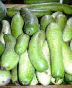 Kutsay