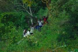 Kutti