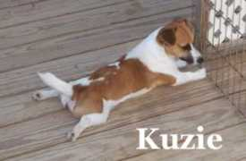 Kuzie