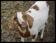 fotoblog.blueboard.cz Kuzle