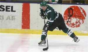 svenskafans.com Kvala