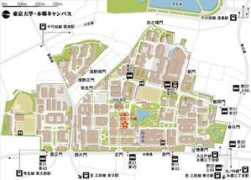 Kwada