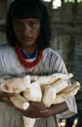Kwana