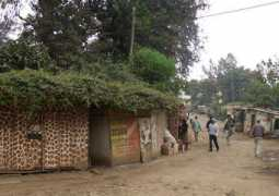 Kwani