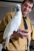 vetmed.illinois.edu Kwelle