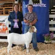 kwhboergoats.com Kwh