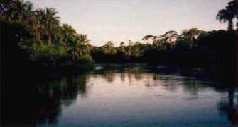 Kwilu