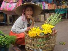 daearly.com Kyaing