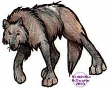 silvanon.com Kylis