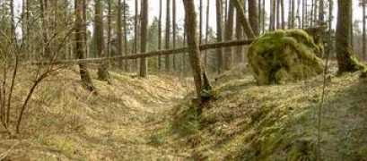 wadbring.com Kymbo