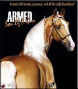 Kymes