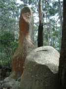 shoalhaven.net.au Kynie
