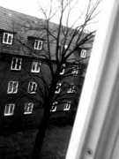 textundbild.twoday.net Kyrill