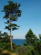 photo-gallery.dk Kyster