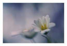 photoextract.com Kyti