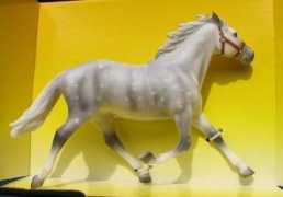 ponylagoon.muerte.net Laag