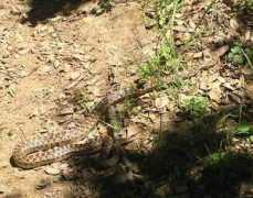 usabloggen.se Laange