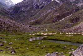 Labassa