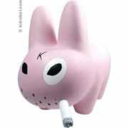 thisnext.com Labbit