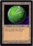 wiw.org Labion