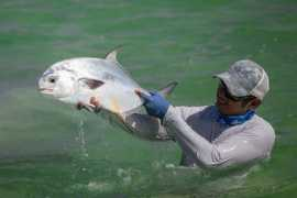 hatchmag.com Labomba