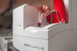 chatoak.com Laboratories