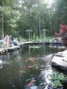 pioneervalleypondclub.com Labossiere