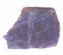Labro