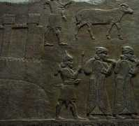 bible-architecture.info Lachis