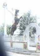 cic.nic.in Lachit