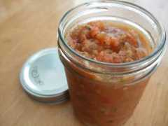 thenourishinggourmet.com Lacto