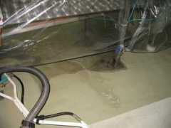 aquafortisaustralia.com Lactos