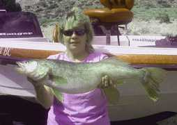 npwalleyes.com Lacynda