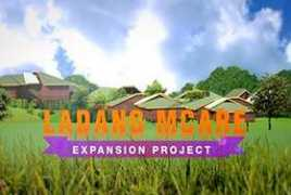 synergyvis.com Ladang