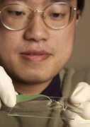 nanotech-now.com Ladisch