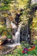 cantalcascades.free.fr Lagnon