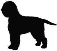 knobnots.com Lagotto
