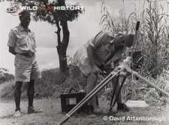 wildfilmhistory.org Lagus