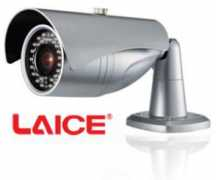 Laice