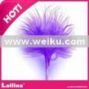 weiku.com Lailina