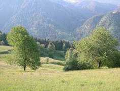 uciei.it Laione