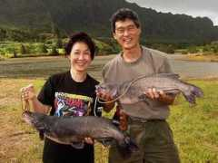 hawaiigoesfishing.com Laisin