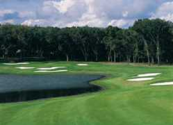 golfpactampa.com Lajn