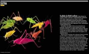Lakse