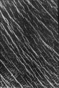 phys-sun-1.phys.boun.edu.tr Lakshimi